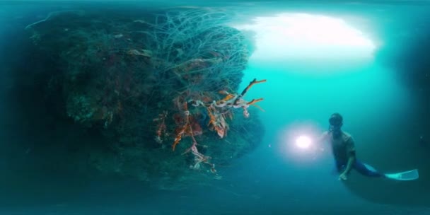 Кадры Фридайвера Человек Фридайвер Плавает Водой Факелом Исследует Морской Мир — стоковое видео