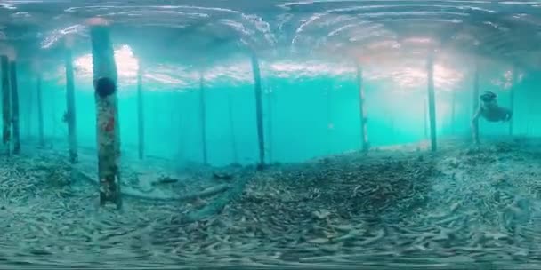Serbest Dalgıcın Tropikal Denizde Altında Yüzdüğü Ayaklıklar Arasında Geleneksel Binaların — Stok video