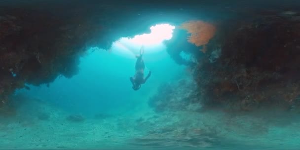 Nagranie Pływania Freediver Pod Wodą Tropikalnym Morzu Zwiedzanie Skomplikowanego Krajobrazu — Wideo stockowe