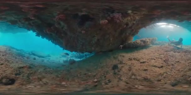 Záběry Potápěče Plavání Pod Vodou Tropickém Moři Zkoumání Složité Přímořské Stock Video