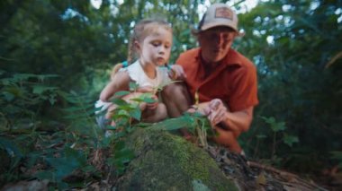 Aile bilimi. Çocuklu yetişkin bir adam tropikal ormanda oturur ve yerde koşan karıncaları seyreder. Baba kızına doğanın harikalarını gösterir.