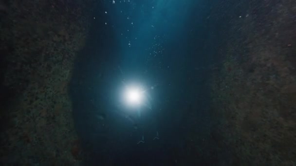 Freediver Swims Underwater Sea Man Freediver Floats Underwater Canyon Explores — Stock Video