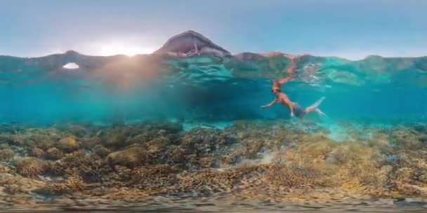 Πλάνα Του Ελεύθερου Δύτη Κολύμπι Υποβρύχια Στην Τροπική Θάλασσα Και — Αρχείο Βίντεο