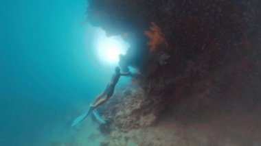 Freediver tropikal denizde su altında yüzer ve Endonezya 'nın Batı Papua bölgesinin karmaşık deniz manzaralarını araştırır.