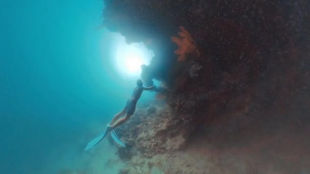 Fridykare Simmar Vattnet Det Tropiska Havet Och Utforskar Intrikata Kustlandskap — Stockvideo