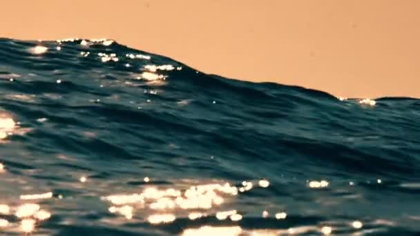 Огромная Волна Катится Открытом Океане — стоковое видео