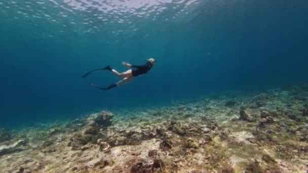 Female Freediver Swims Underwater Tropical Sea — Stock Video