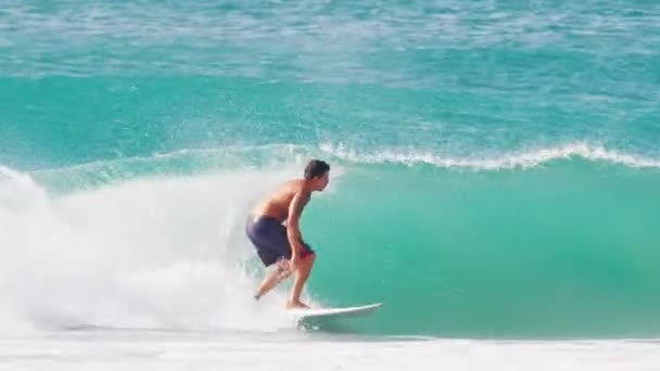 Florianopolis Brazil April 2024 Set Footages Surfing Brazil Sunny Day — Stock Video