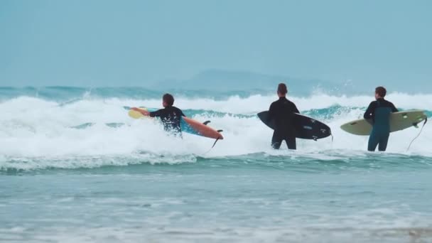 Três Surfistas Caminham Praia Com Pranchas Surf Entram Oceano — Vídeo de Stock