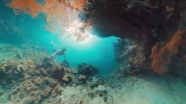 Freediver Nadando Debaixo Água Mar Tropical Explorando Paisagens Marinhas Intrincadas — Vídeo de Stock
