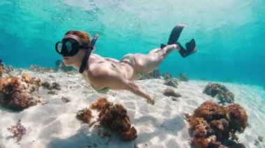 Bikinili kadın serbest yüzücü tropikal denizde suyun altında yüzer ve resifin üzerinde süzülür.