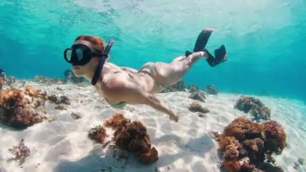 Жінка Вільна Людина Бікіні Плаває Під Водою Тропічному Морі Ковзає — стокове відео