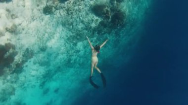 Bikinili kadın serbest yüzücü tropikal denizde suyun altında yüzüyor.