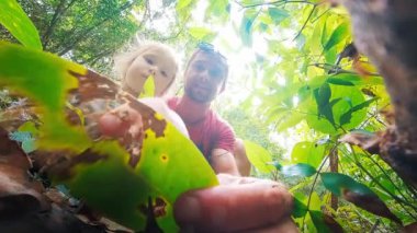 Aile bilimi. Çocuklu yetişkin bir adam tropikal ormanda oturur ve yerde koşan karıncaları seyreder. Baba, kızına yaprak kesicilerin hayatını anlatıyor.