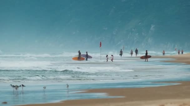 冲浪者带着冲浪板在海滩上散步 巴西弗洛里亚诺波利斯坎佩切海滩 — 图库视频影像