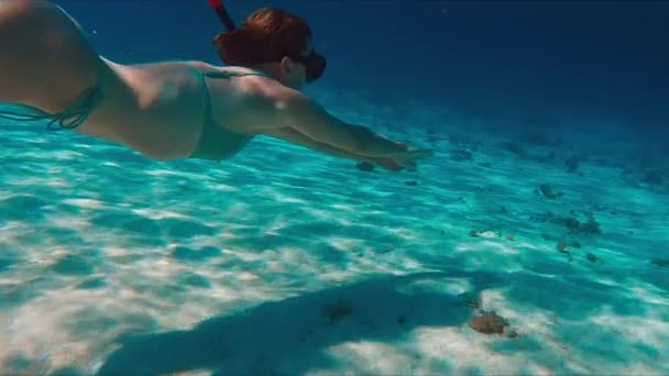 Női Szabadúszó Bikiniben Úszik Víz Alatt Trópusi Tengerben Siklik Homokos — Stock videók
