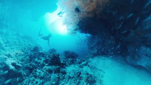 インドネシアの西パプア地域の複雑で豊富な海洋生物を探検し 熱帯海域で水中を泳ぐフリーダイバー — ストック動画