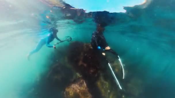 Двоє Чоловіків Плавають Під Водою Океані Ліцензійні Стокові Відеоролики