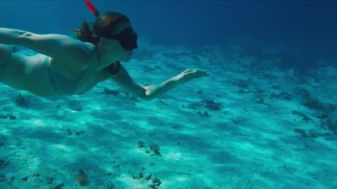 Bikinili kadın serbest yüzücü tropikal denizde suyun altında yüzüyor.