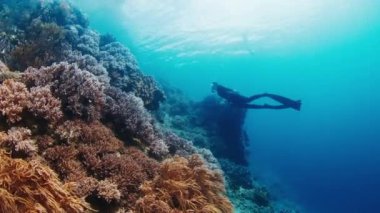 Özgür kadın denizde yüzüyor.