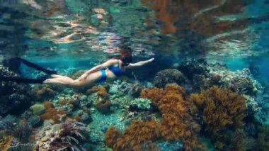 Mavi mayo giymiş bir kadın, denizdeki mercan resifinde şnorkelle yüzüyor.