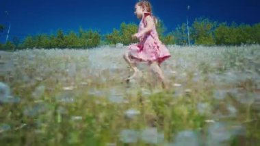 Kız yaz tarlasında karahindiba ile koşuyor.