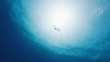 Denizde plastik. Maldivler 'deki sakin tropikal denizde yüzen küçük plastik torba sualtı görüntüsü