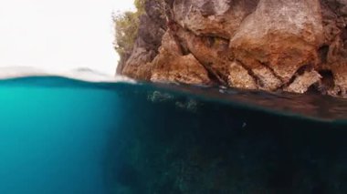 Batı Papua, Endonezya 'daki Raja Ampat' ın kayalık sualtı görüntüsü bölündü.