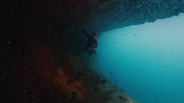 Freediver, Endonezya 'nın Raja Ampat bölgesindeki canlı mercan resifi yakınlarında suyun altında yüzer.