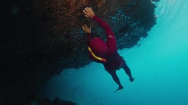 Freediver, Endonezya 'nın Raja Ampat bölgesindeki canlı mercan resifi yakınlarında suyun altında yüzer.