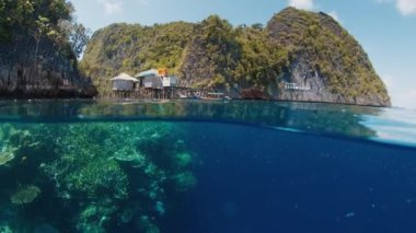 Raja Ampat 'taki mercan resifinin su altı görüntüsü bölünmüş. Batı Papua, Endonezya 'da canlı ve sağlıklı mercan resifleri