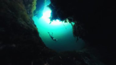 Adam dipte otla göle dalıyor. Batı Papua, Endonezya. Freediver gölde yüzer.