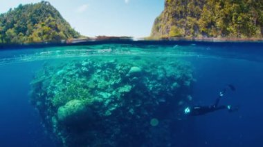 Sualtı, Endonezya 'nın Misool bölgesindeki Raja Ampat' taki mercan resifinin görüntülerini böldü.