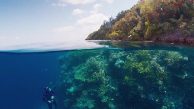 Freediver Endonezya 'nın Raja Ampat bölgesinde mercanların yanında su altında yüzer. Dalgıcın su altı görüntüsü ve bol mercan resifi.