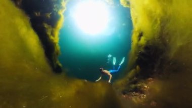 Adam dipte otla göle dalıyor. Batı Papua, Endonezya. Freediver gölde yüzer.