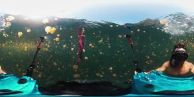 Su altı çekim sürecinin görüntüleri. İki adam denizanalarıyla dolu göle dalıyor ve büyük kamera ve ışıklarla çekim yapıyorlar.