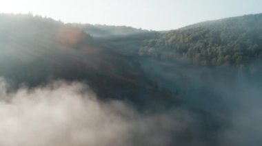 Vadi, dağlar ve sabah sisi