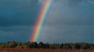 Yazın gökyüzünde, ormanın üzerinde parlak gökkuşağı