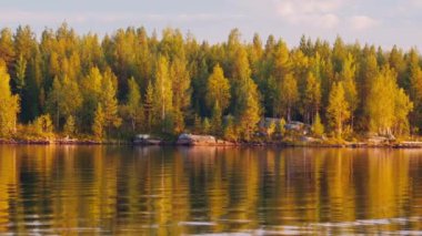 Autumn forest and calm lake