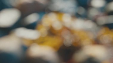 Denizin kayalık sahillerinde yosun