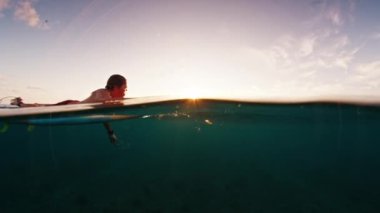 Erkek sörfçü gün doğumunda okyanusta kürek çeker. Suyun altında sörfçünün suda kürek çekişini gösteren bölünmüş görüntüler.