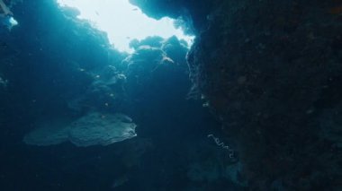 Güneş ışınları bir su altı mağarasının girişini aydınlatıyor. Raja Ampat, Endonezya