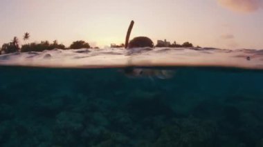 Akşam vakti tropikal denizde şnorkelle yüzen bir kadın.