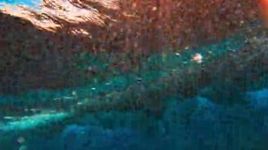 Maldivler 'deki okyanus dalgalarının sualtı görüntüsü