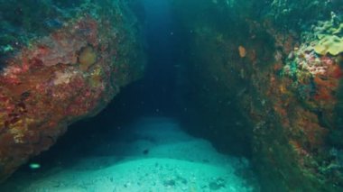 Işık ışınları algler ve mercanlarla kaplı iki büyük kaya arasındaki dar geçidi aydınlatıyor.