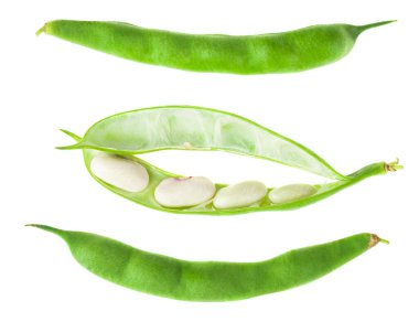 Yeşil fasulyeler beyaz arka planda izole edilmiş. Tasarım ayrıntıları. Tasarım elemanları. Makro. Tam odaklanma. Kartvizitler, kartpostallar ve posterler için arka plan