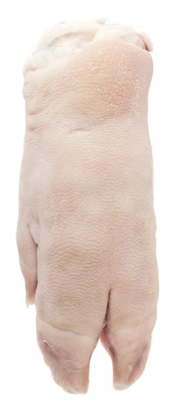 Kaki Babi Terisolasi Dengan Latar Belakang Putih Detail Untuk Desain — Stok Foto