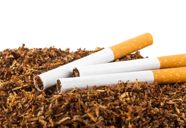 Cigarrillos Tabaco Aislados Sobre Fondo Blanco Lugar Para Texto —  Fotos de Stock
