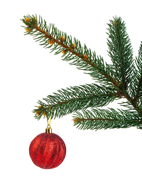 Weihnachtsbaumzweig Mit Roter Kugel Isoliert Auf Weißem Hintergrund Weihnachtskonzept — Stockfoto