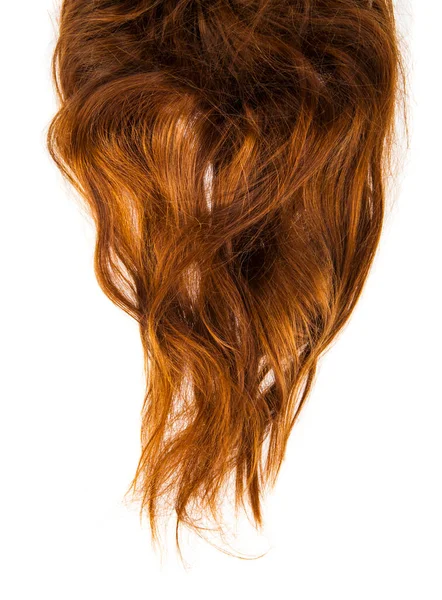 Cheveux Bruns Isolés Sur Fond Blanc Détail Pour Conception Eléments — Photo